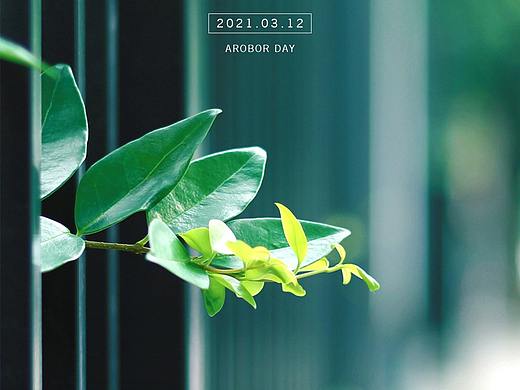 节日海报（个人主页-ZNTE0MTQ5MTI=） - 品牌 - 站酷设计师Hope鄧秋原创素材 - 站酷ZCOOL