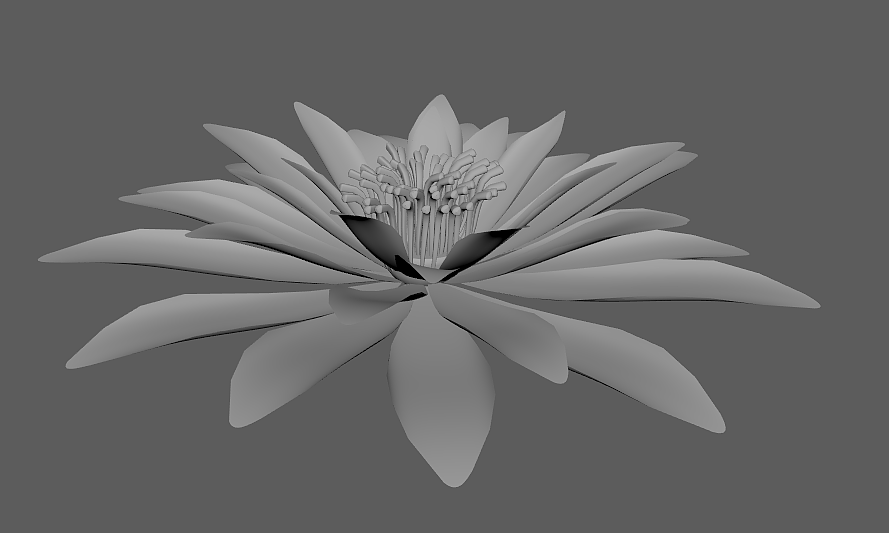 maya建模之莲花