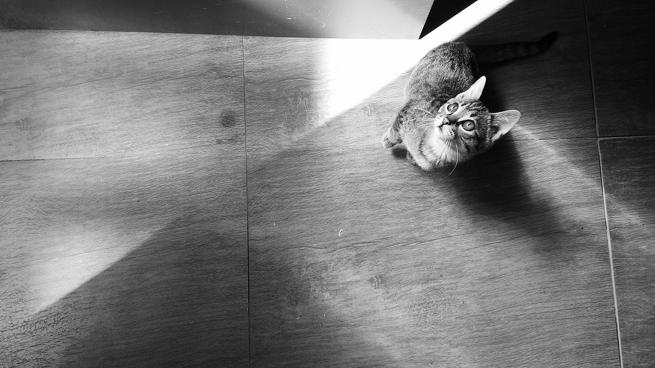 一些记录（图ZNjI5MzE5NzY=） - 其他摄影 - 站酷设计师早寻原创素材 - 站酷ZCOOL