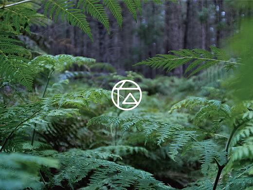 在苒 IN FOREST（個人主頁-ZNDU5MTk2Mjg=） - 品牌 - 站酷設(shè)計師JonesPang原創(chuàng)素材 - 站酷ZCOOL