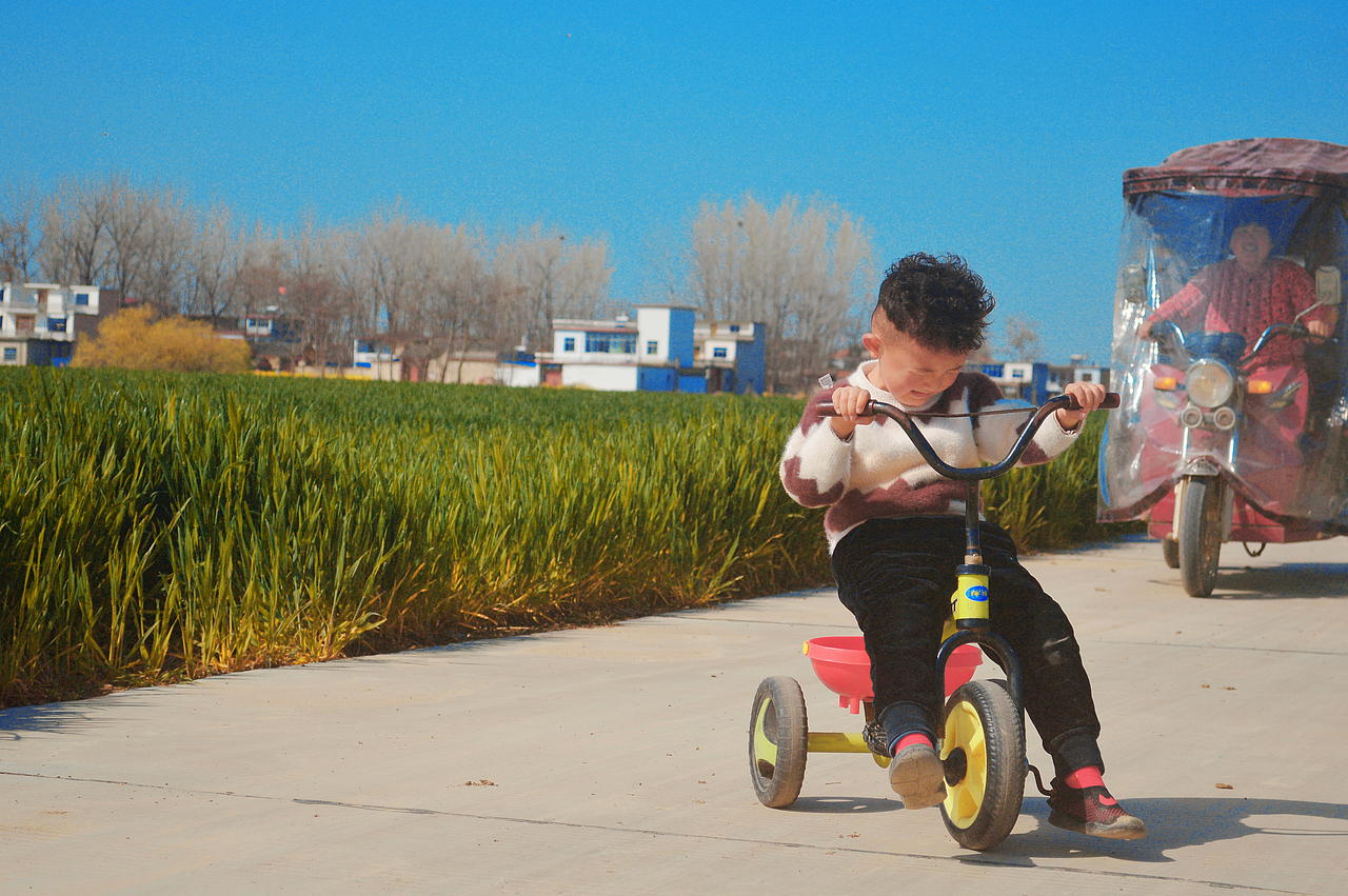 油菜花的季节+1