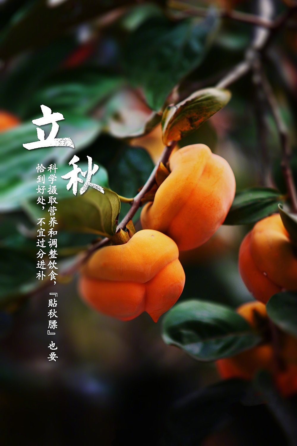 今日 立秋939393|插画|概念设定|augenstern2021 - 临摹作品