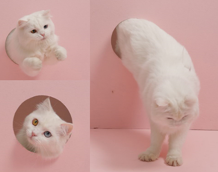 冒着失去女神的风险，上传了花絮