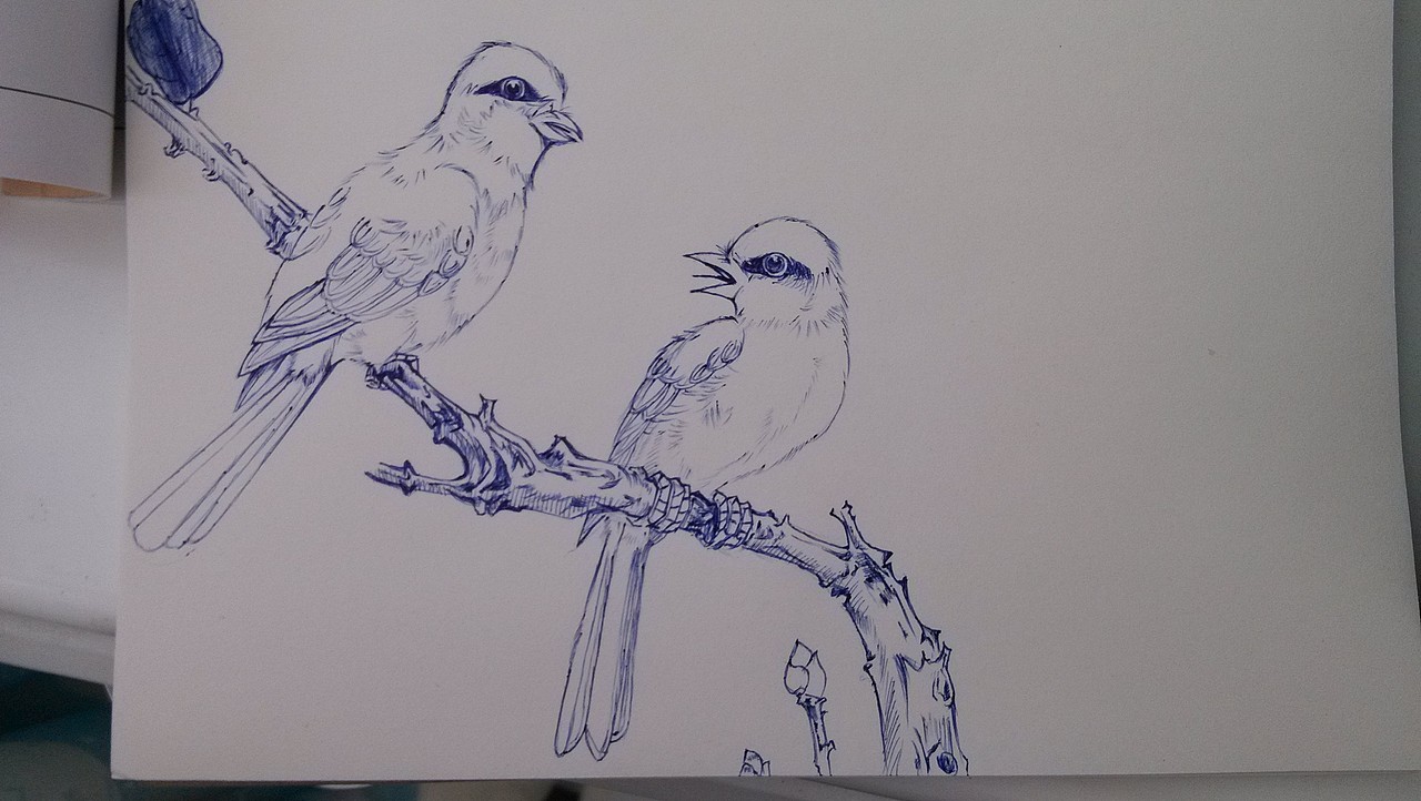 再添加写枝枝叶叶神马的...或许会好点~