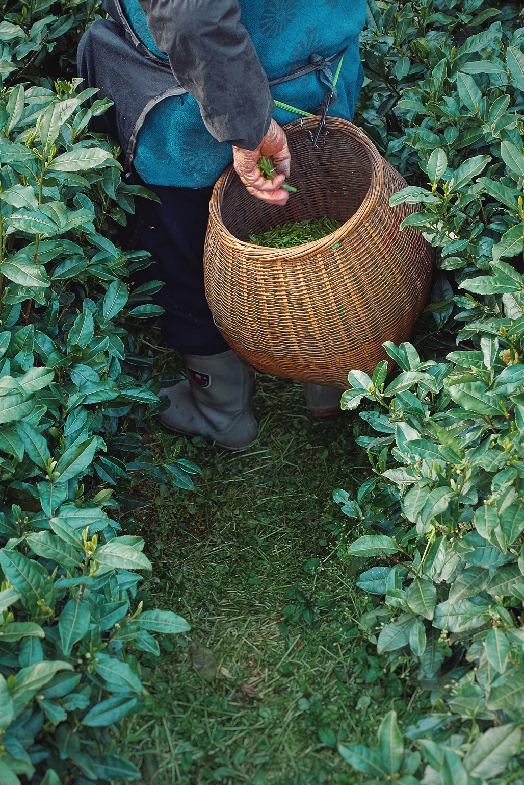 走南闯北,咀嚼城市细节