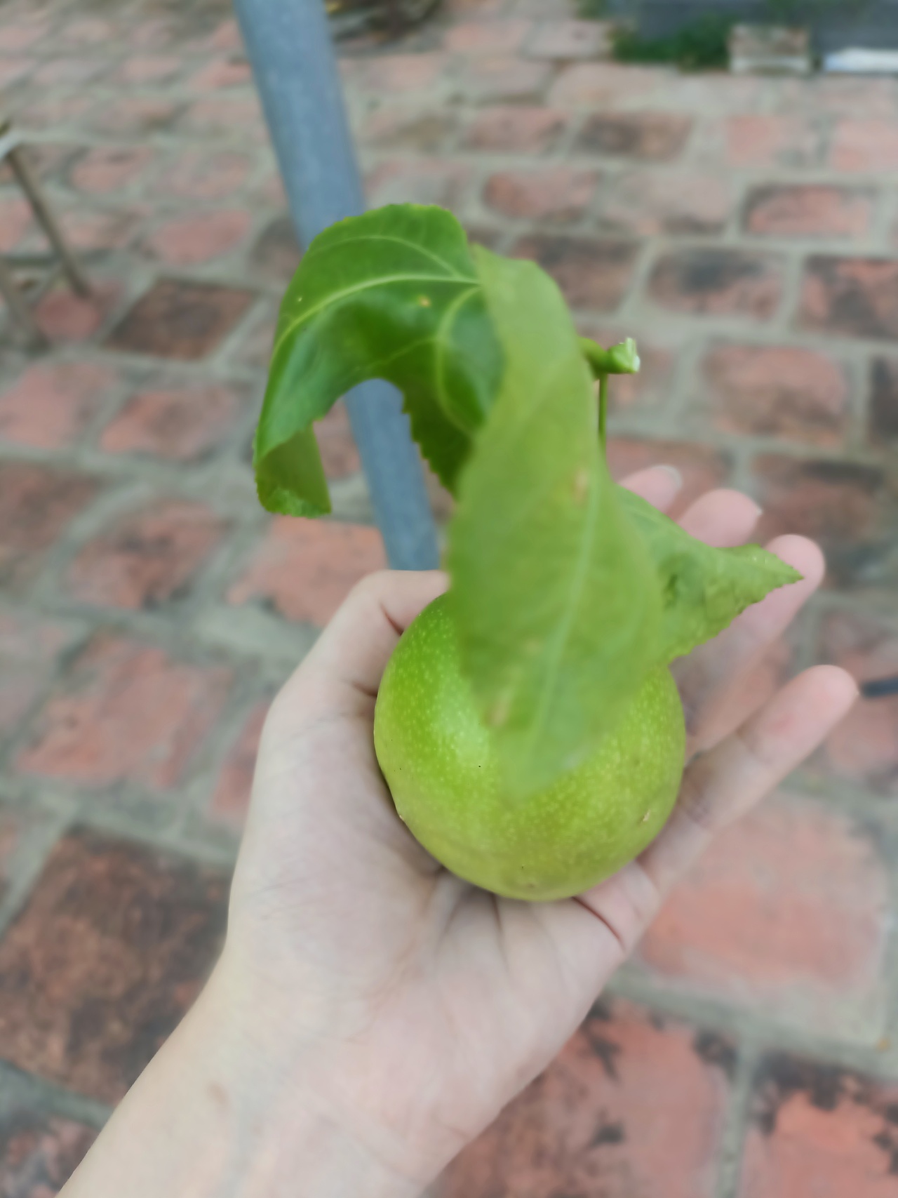 《心泛起了涟漪》