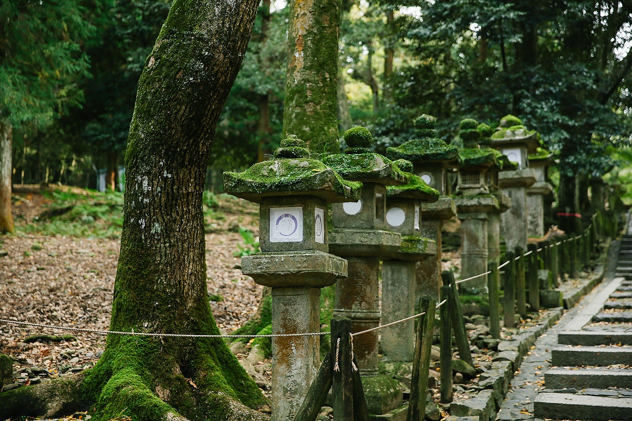 关于京都 奈良 镰仓的记忆