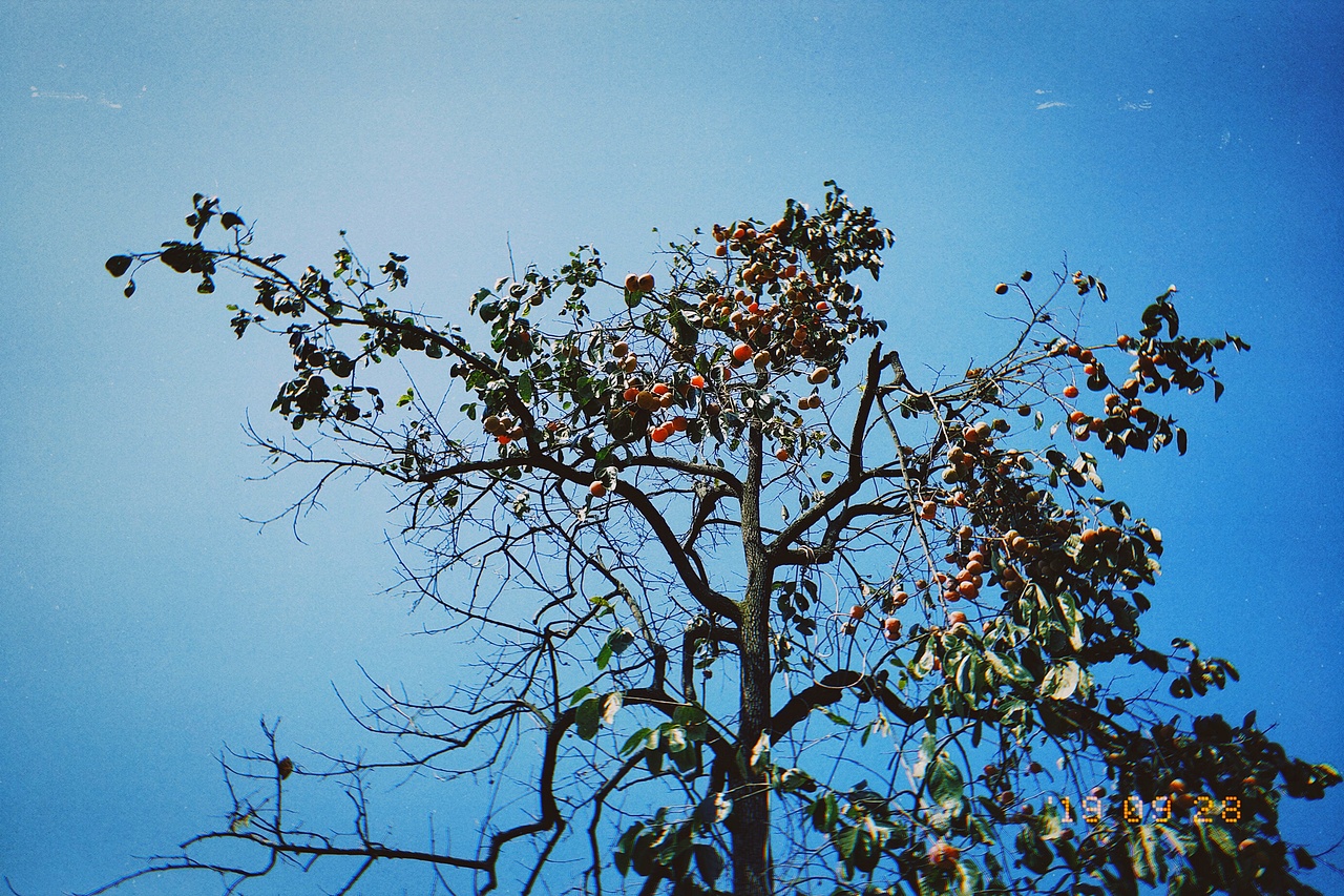 砚山 窑上村 随拍