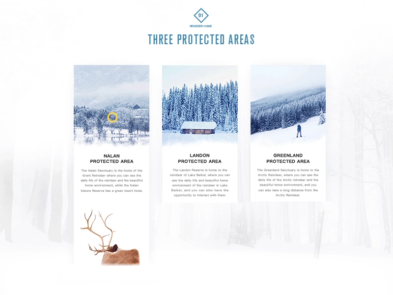 2017作品部分精选