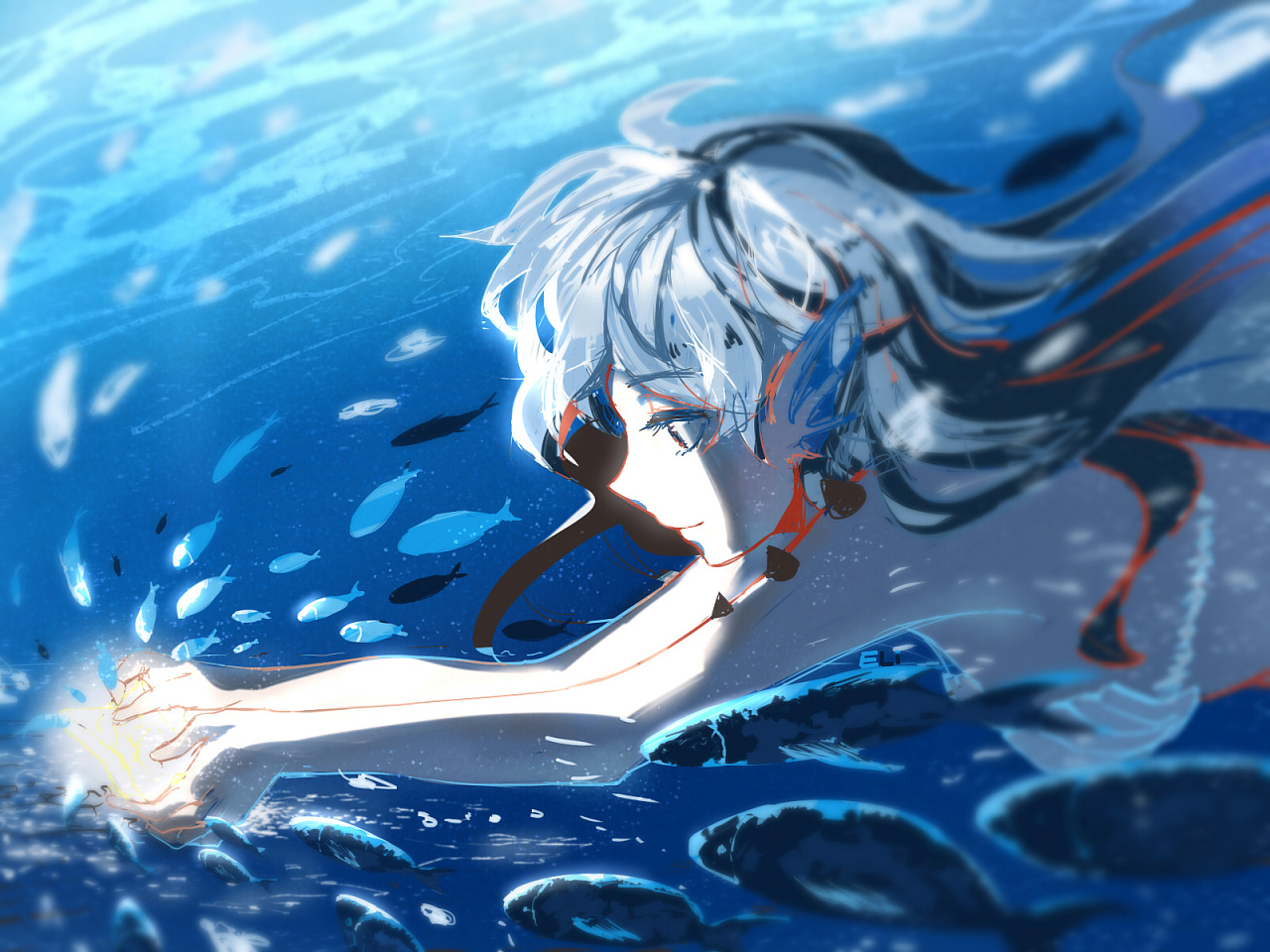 潜水时看到鲸鲨和深蓝的海水来的灵感