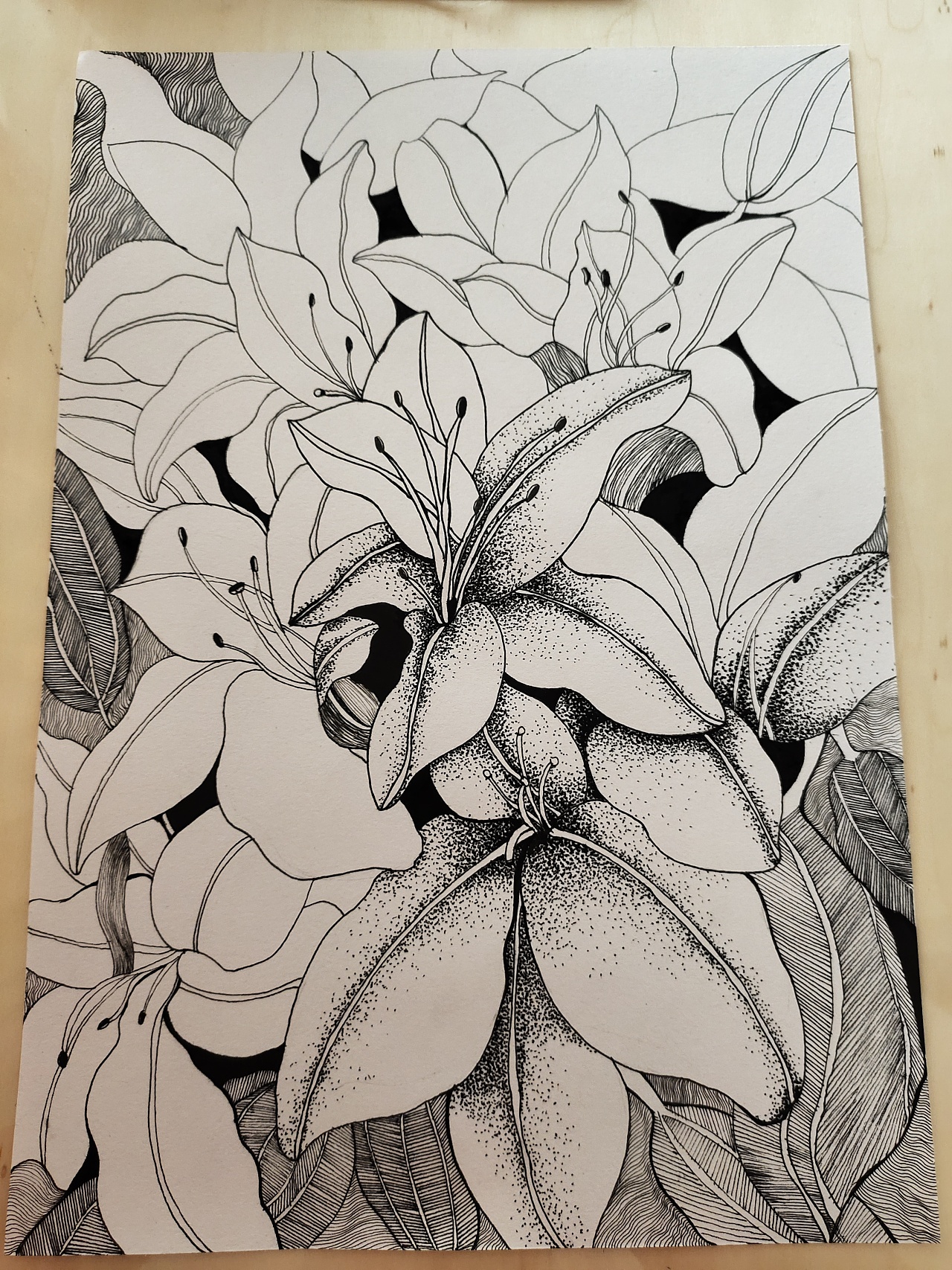 线描花|插画|艺术插画|z20225206 - 原创作品 - 站酷 (zcool)