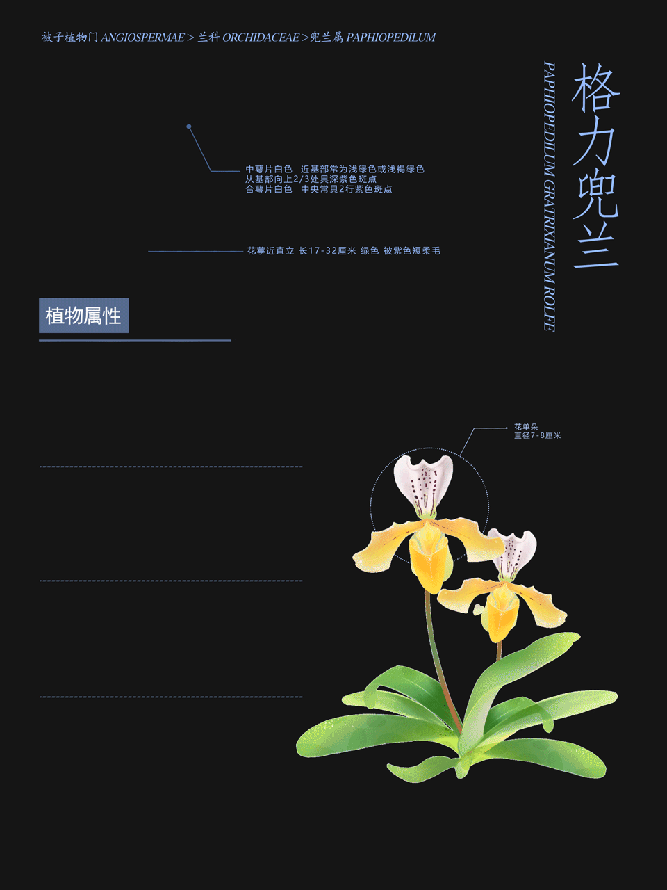 极小种群野生兜兰植物动态海报#地球守卫者#