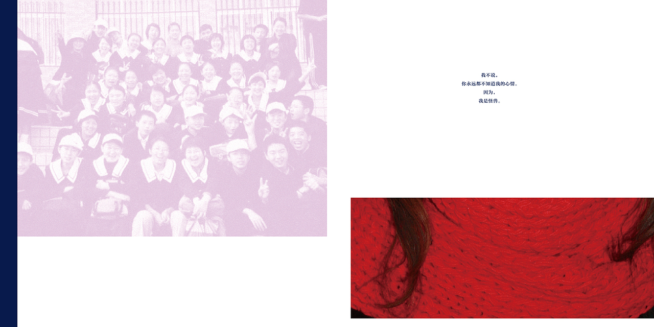 The monster's mind(my book design)