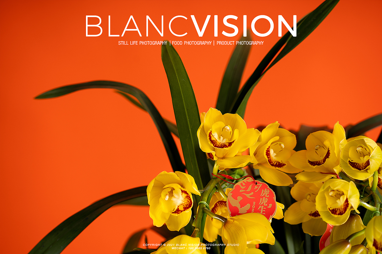 年宵花拍摄|静物摄影|栢蘭视觉