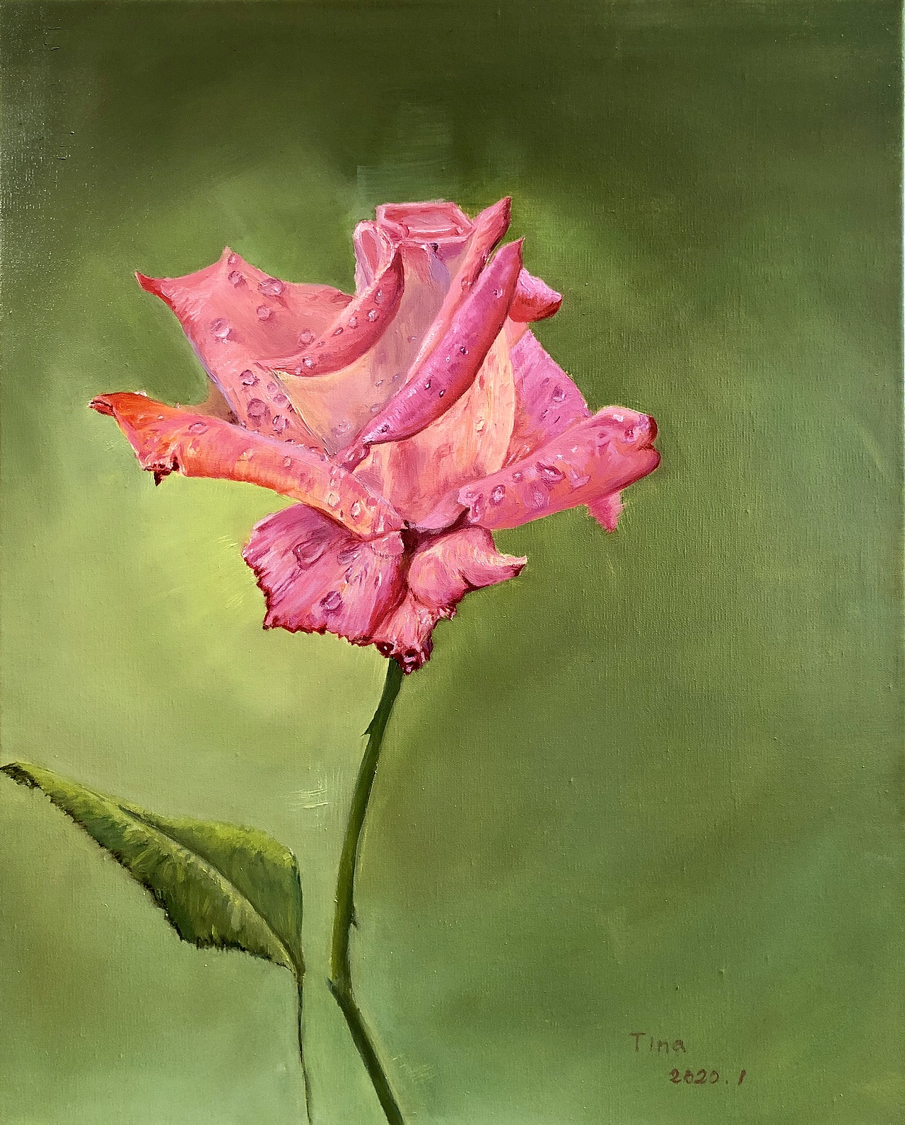  br> #玫瑰#  br>50x40 br>布面油画