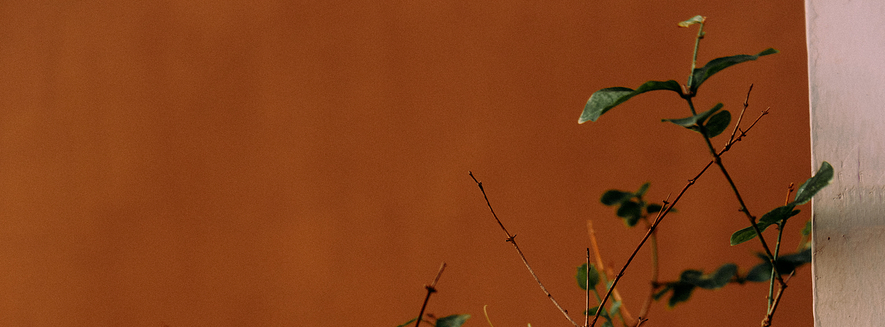 如此,足够我爱这破碎泥泞的人间。