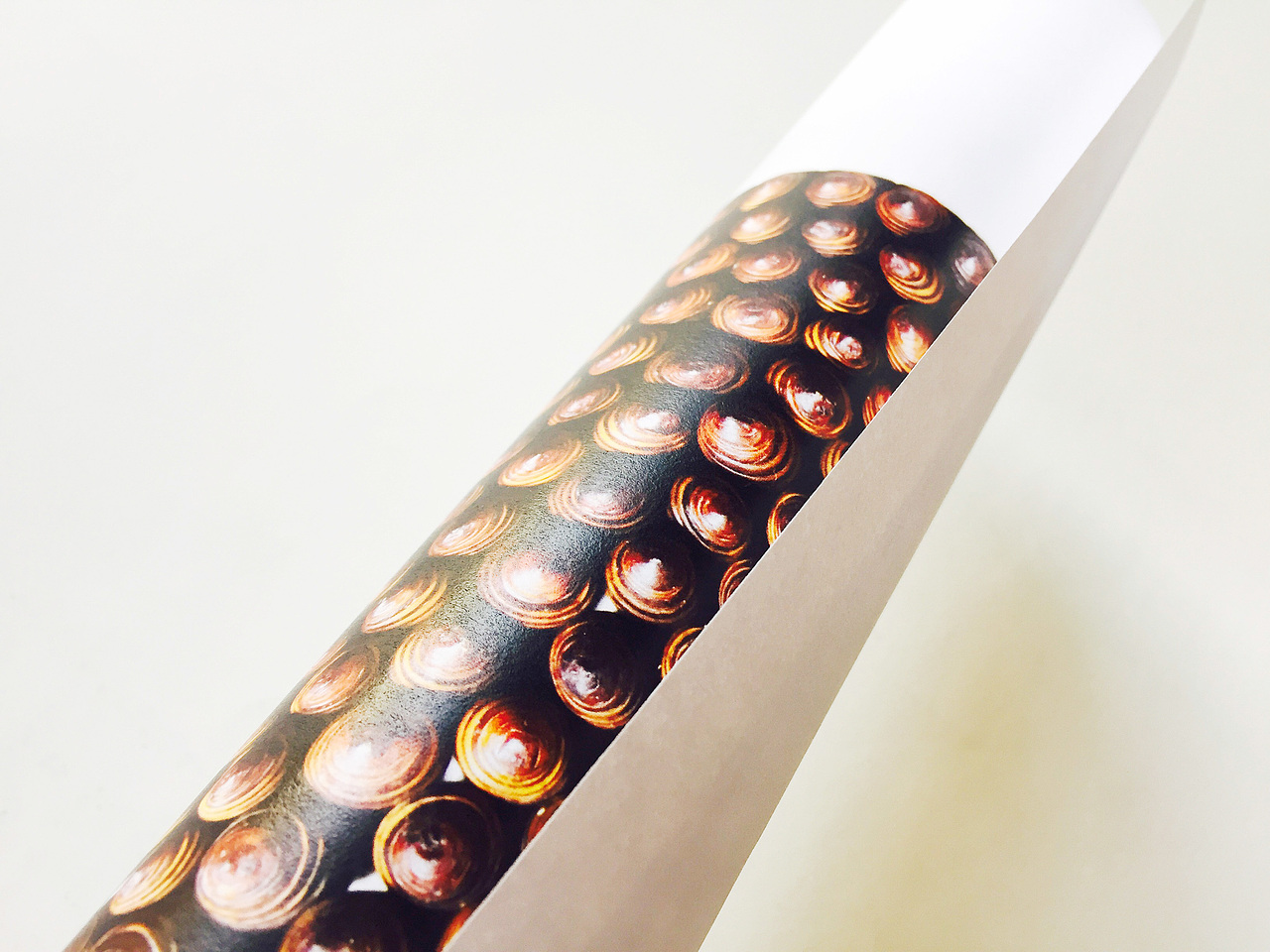 ZZ WORK:从“地缘特色”到“独特视觉”