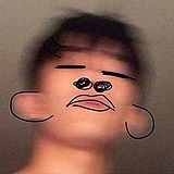 咖喱野鸡的头像