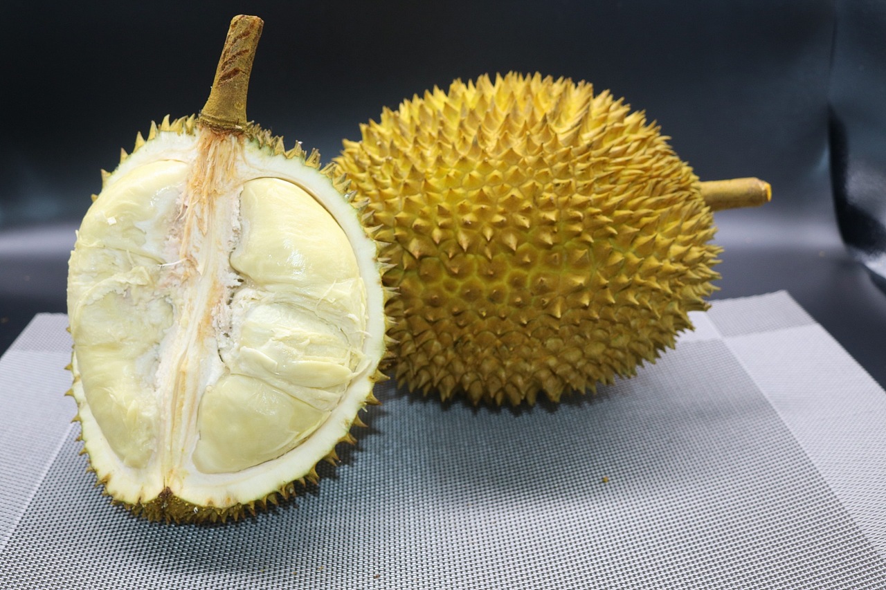 老男人果品老挝猫山王苦咖菲猫榴莲