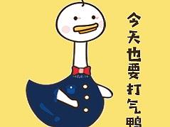 GOGO鸭
