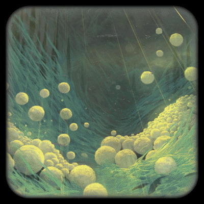 动态插画（图ZNjcyNjE2NjQ=） - 艺术插画 - 站酷设计师黑策策原创素材 - 站酷ZCOOL