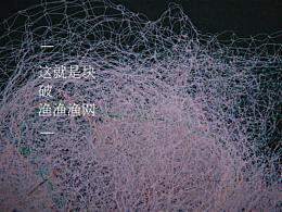 欲望還是漁網(wǎng)