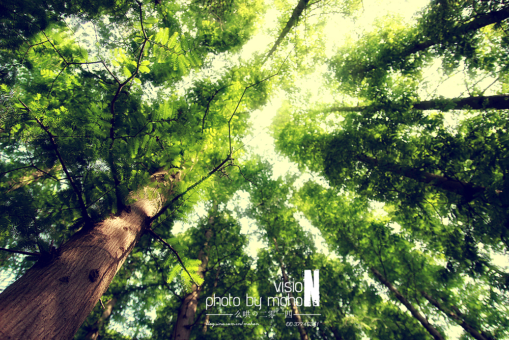 【2014游】猫眼看青岛