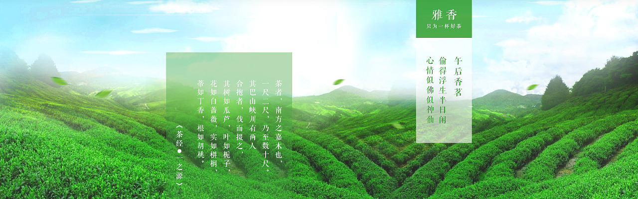 茶叶banner