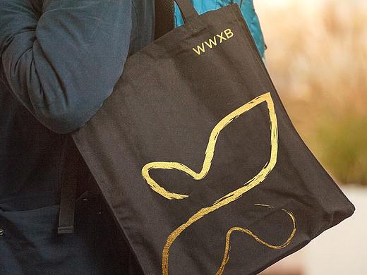 娃娃学兵 品牌Vi 建设