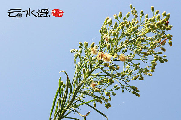 谣不可及 【 汕头 。南靖 】（图ZMjAyMzExNjQ=） - 风光摄影 - 站酷设计师丁满仔原创素材 - 站酷ZCOOL