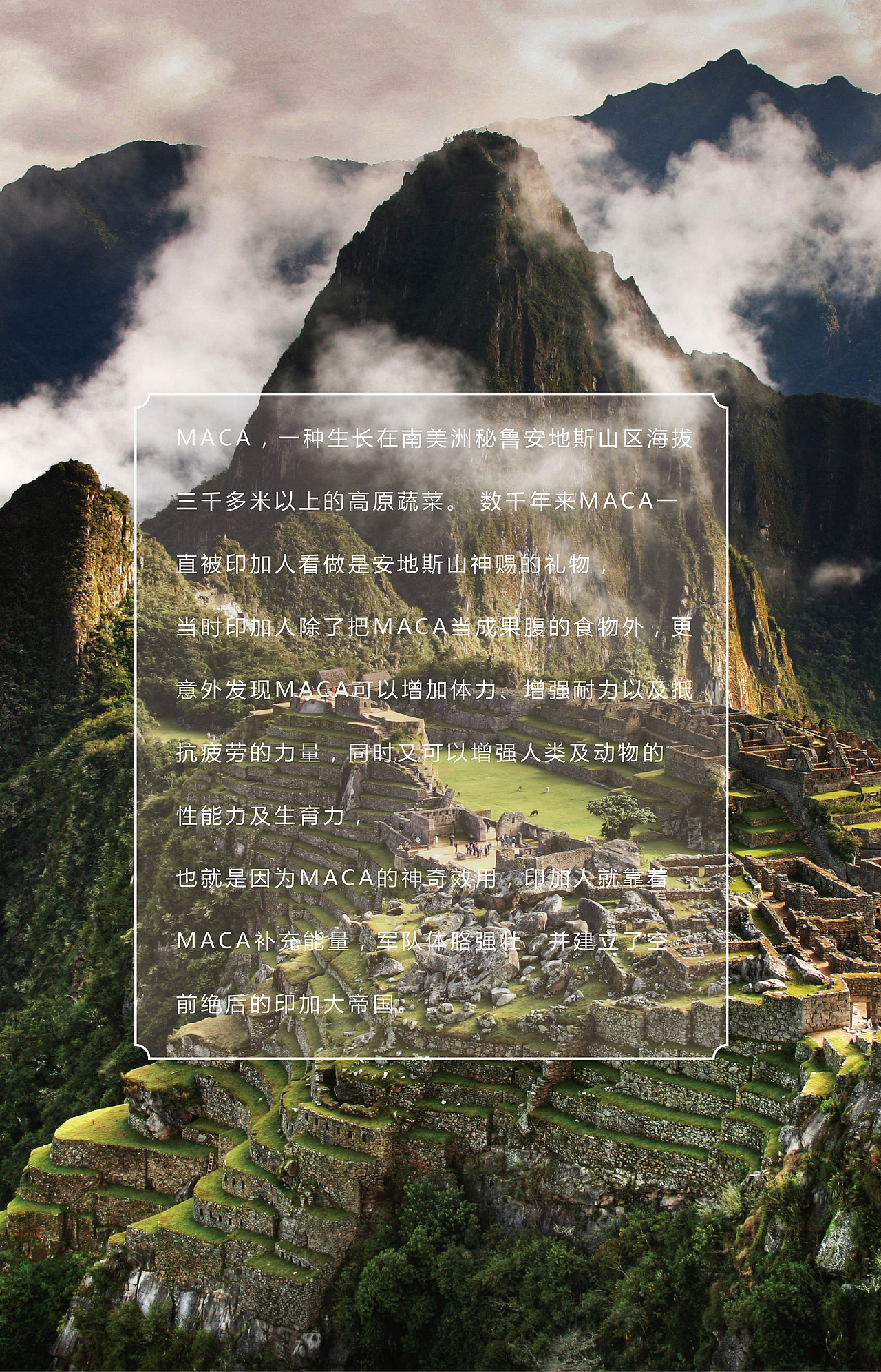 [PERU MACK]包装设计（图ZNDY4NDIzMDQ=） - 包装 - 站酷设计师拙喜原创素材 - 站酷ZCOOL