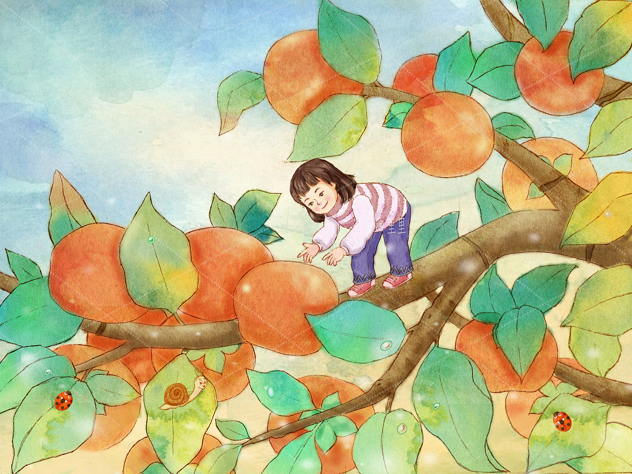 水彩插画:秋天的柿子树与小女孩