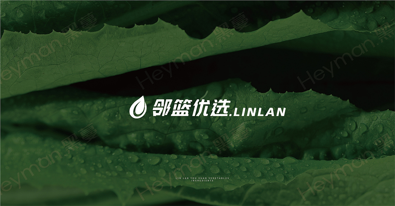 Heyman黑蔓出品-品牌合集