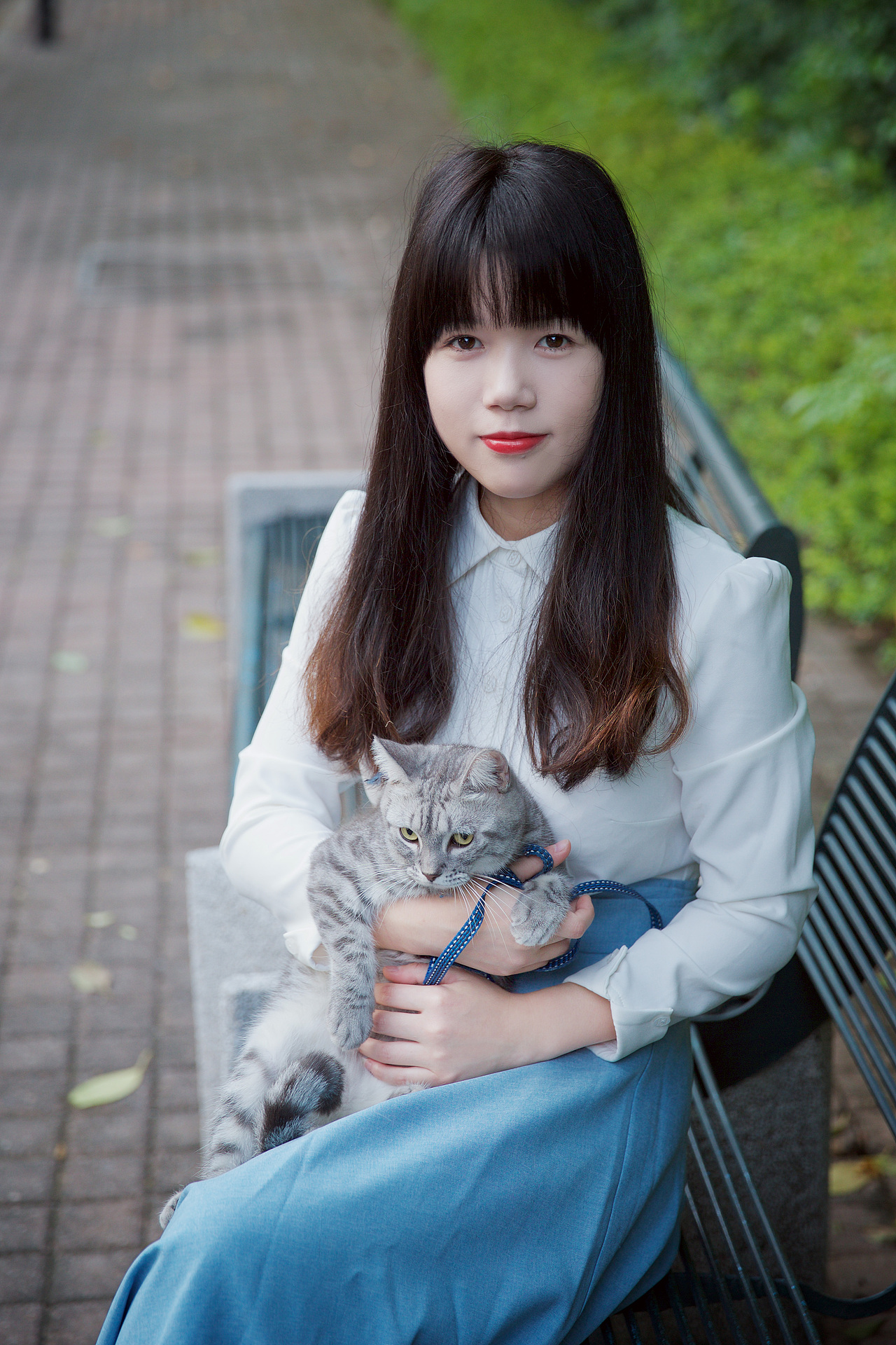 家有猫女初长成II