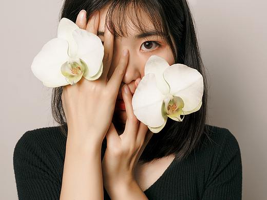 蝶不知语