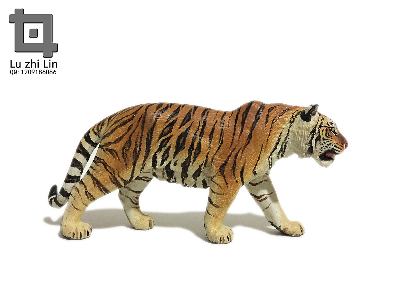 动物模型 老虎展示