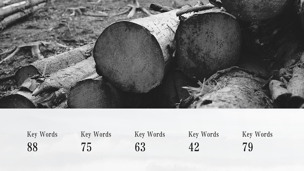 【画眉】渲染·国风·简约·PPT·图表·模板