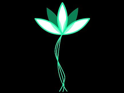 开花