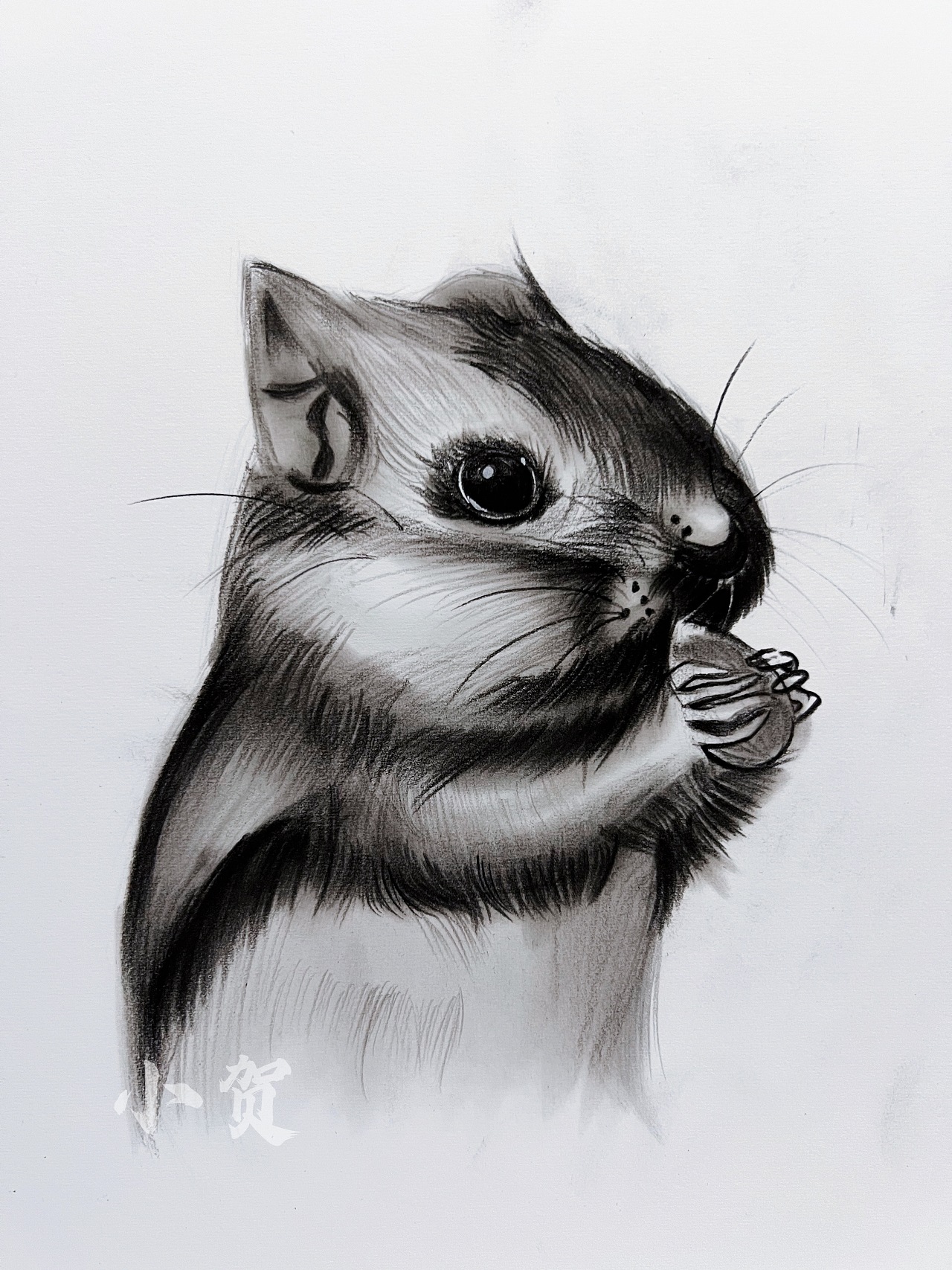 炭笔画|纯艺术|绘画|xiaohe521 - 原创作品 - 站酷 (zcool)