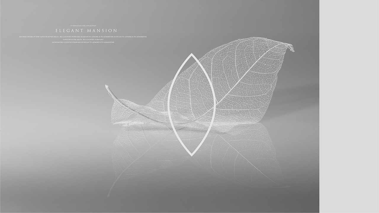 地产-天健项目提案