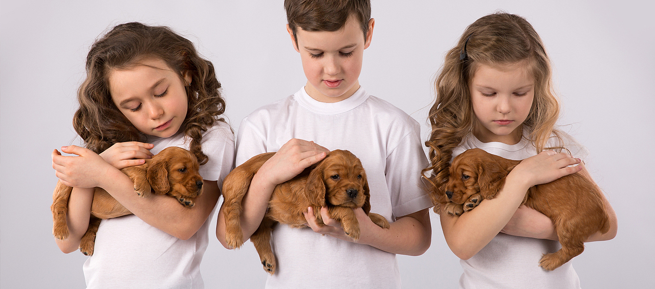 EPPM紙然寵物包裝設(shè)計 廣州包裝設(shè)計 智美品牌（圖ZMTIzMTQ3MjIw） - 包裝 - 站酷設(shè)計師智美品牌設(shè)計原創(chuàng)素材 - 站酷ZCOOL