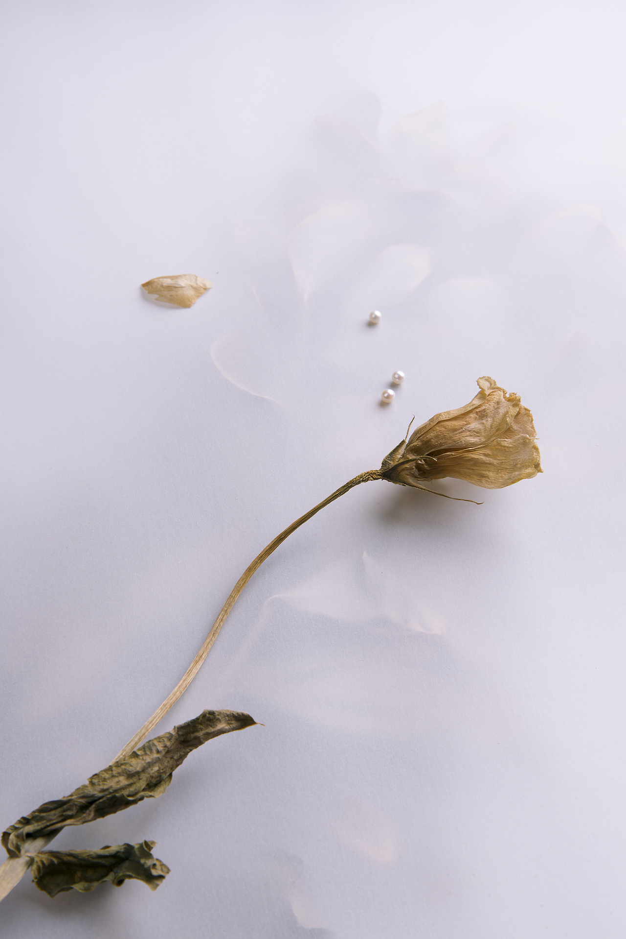 带珍珠的字母项链（图ZMTYxNzY5NDUy） - 产品摄影 - 站酷设计师Dim750原创素材 - 站酷ZCOOL