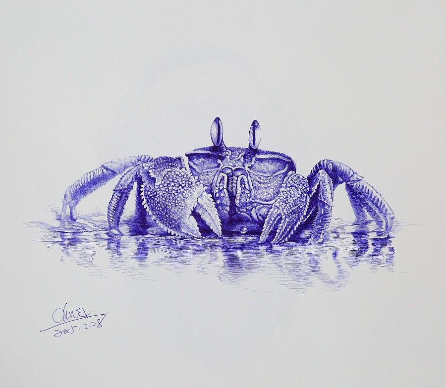 圆珠笔动物系列2|||ohwa俊桦 - 原创设计作品 - 站酷 (zcool)