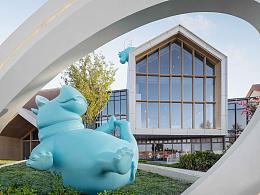 有只河马的示范区