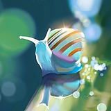 深海鱼yu的头像
