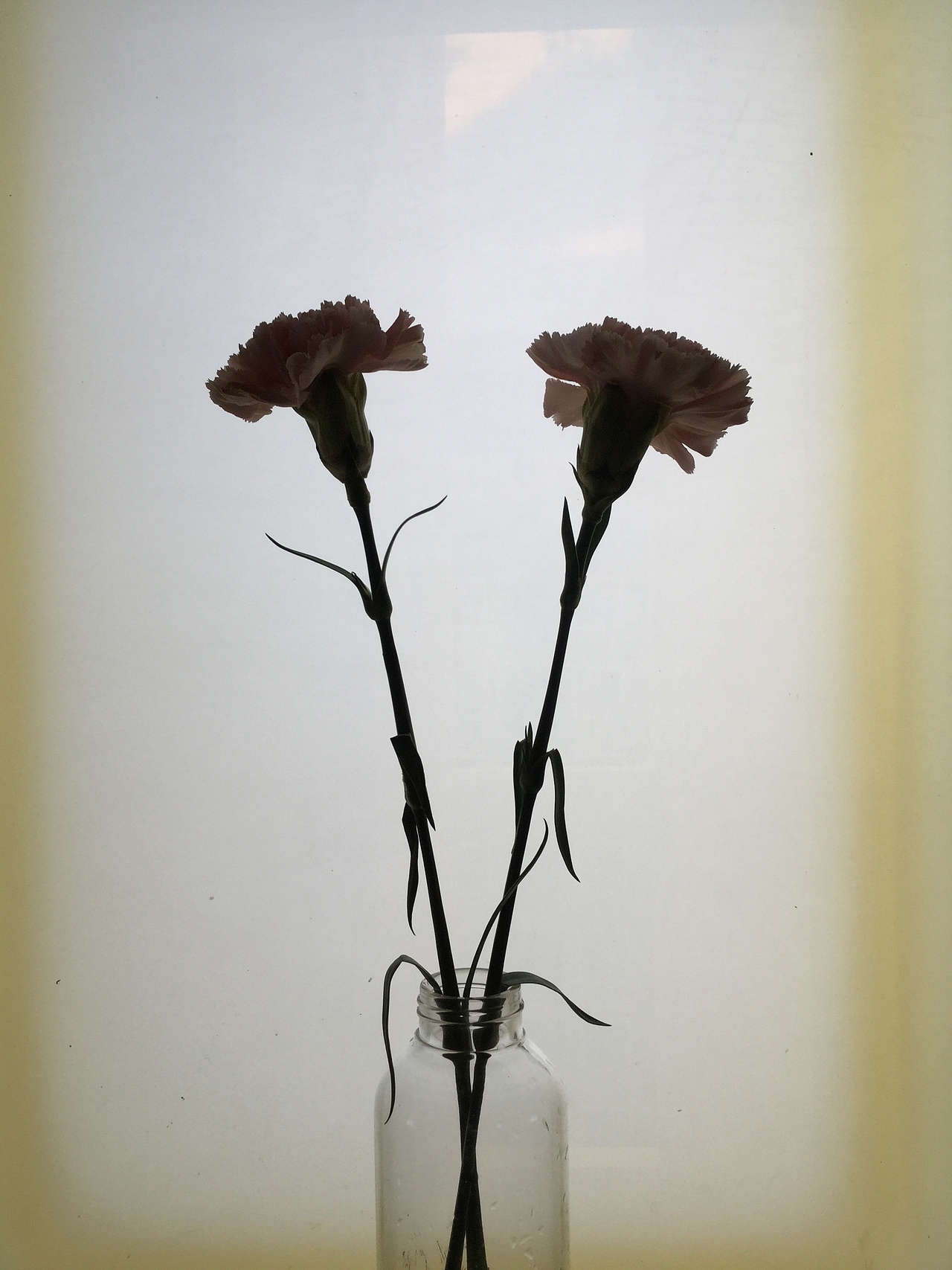 iPod touch 6后置摄像头·手机摄影（图ZNDk2Mjc2MjA=） - 风光摄影 - 站酷设计师素匠东霓原创素材 - 站酷ZCOOL