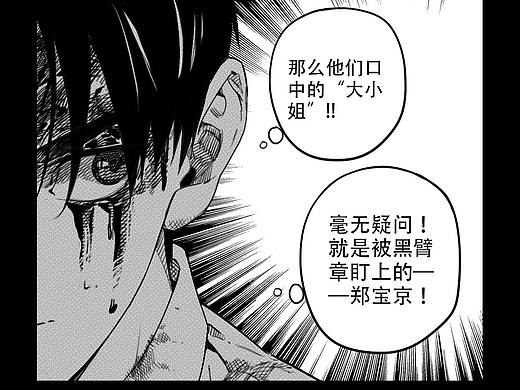 12 “隐藏”的伙伴