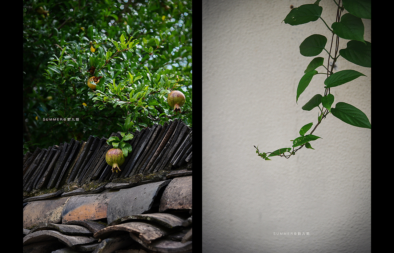 自卑溢出来
就变成了安静<br>与温柔