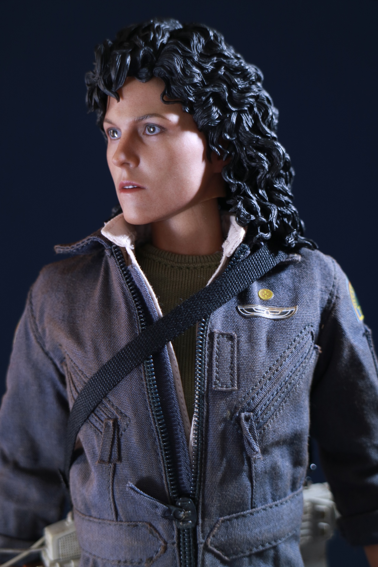 hottoys 异形1 瑞普利