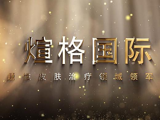 大学时候帮人家做的一个会议视频(个人主页-ZNTEyNjc2MDA=) - 宣传片 - 站酷设计师时隙志原创素材 - 站酷ZCOOL